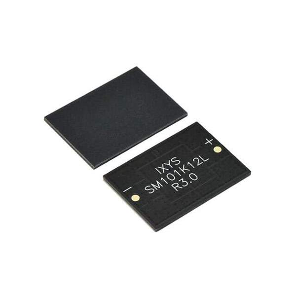 SM101K12L Real Image