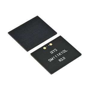 SM111K10L Real Image
