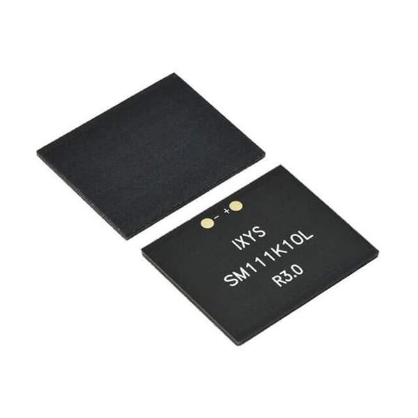 SM111K10L Real Image