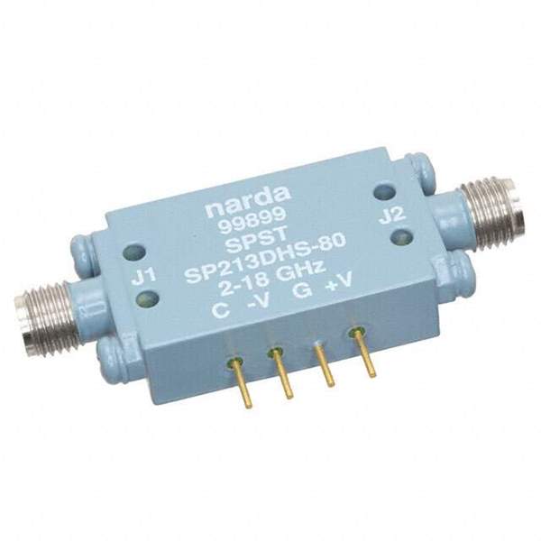 SP213DHS-80 Real Image