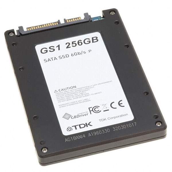 SDE1B256GTKFWB00ESA0 Real Image