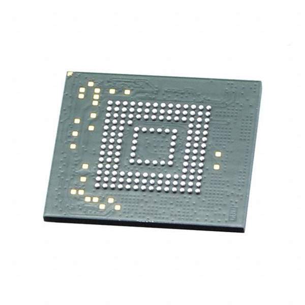 SFEM064GB1EA1TO-I-HG-111-E32 Real Image