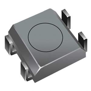 SRR0618-220ML Real Image