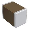 GRT21BC81C106ME01L Real Image