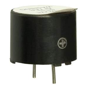 WT-1205 Real Image