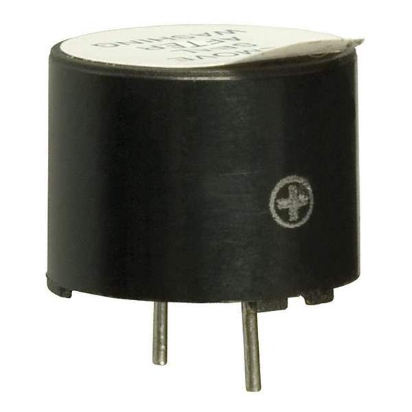 WT-1205 Real Image