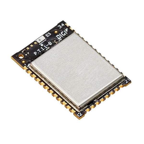 XB3-24DMCM-J Real Image