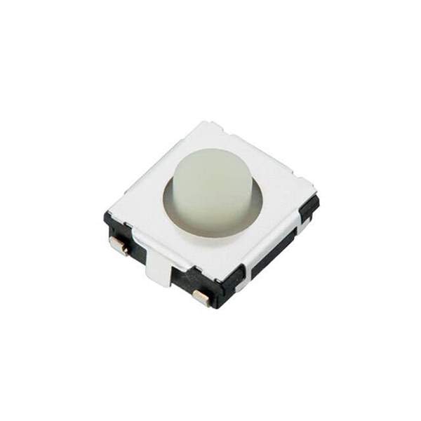 EVQ-7Q203W Real Image