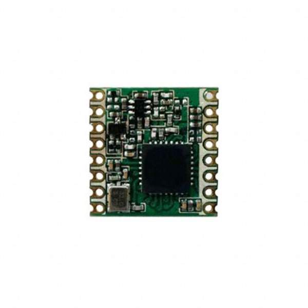 RFM95W-868S2 Real Image