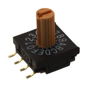 FR02KR16P-R Real Image