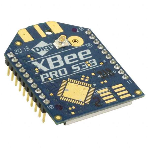 XBP9B-DMUT-002 Real Image