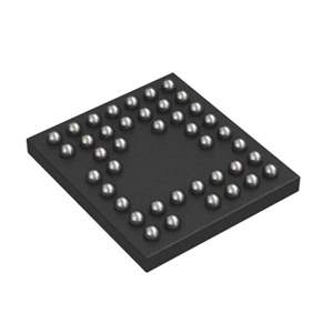 RT1025WS Real Image1