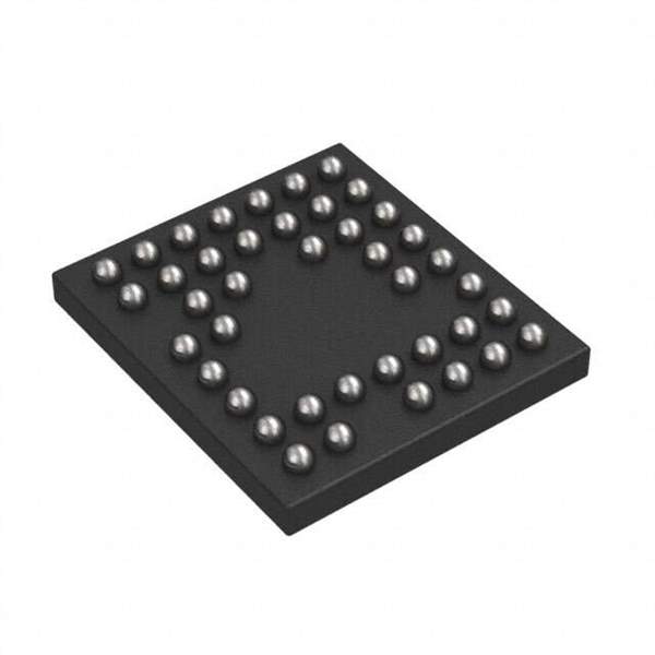 RT1025WS Real Image1