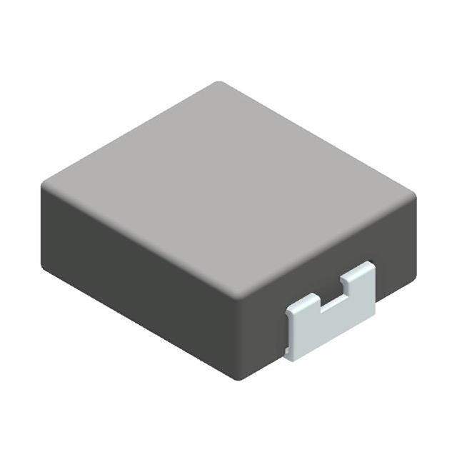 TMPC 0302H-2R2MG Real Image2