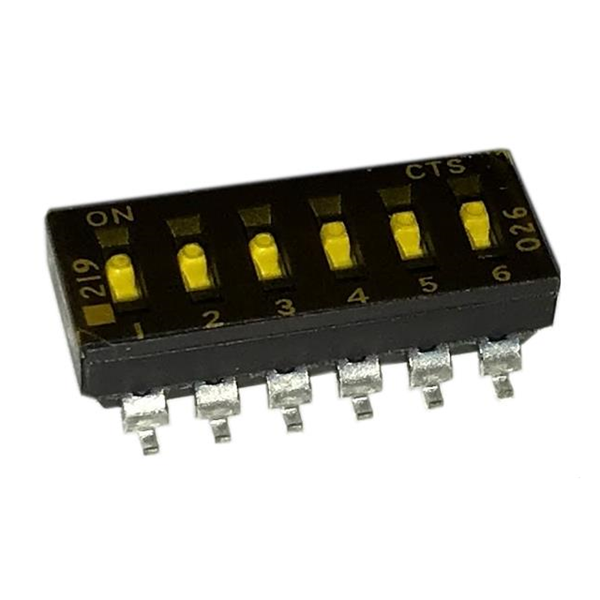219-6LPSTR Real Image