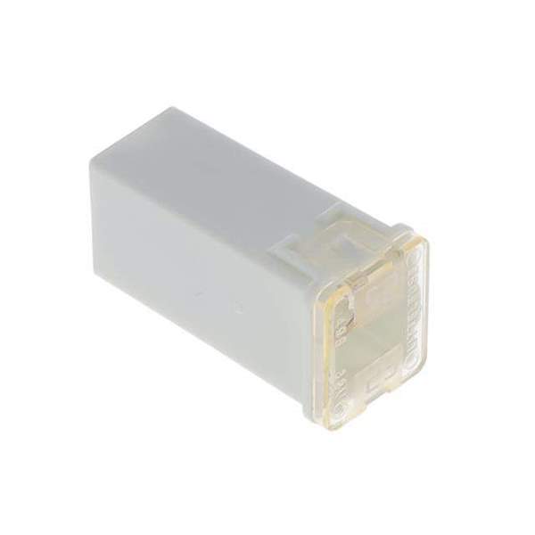 0495025.ZXA Real Image