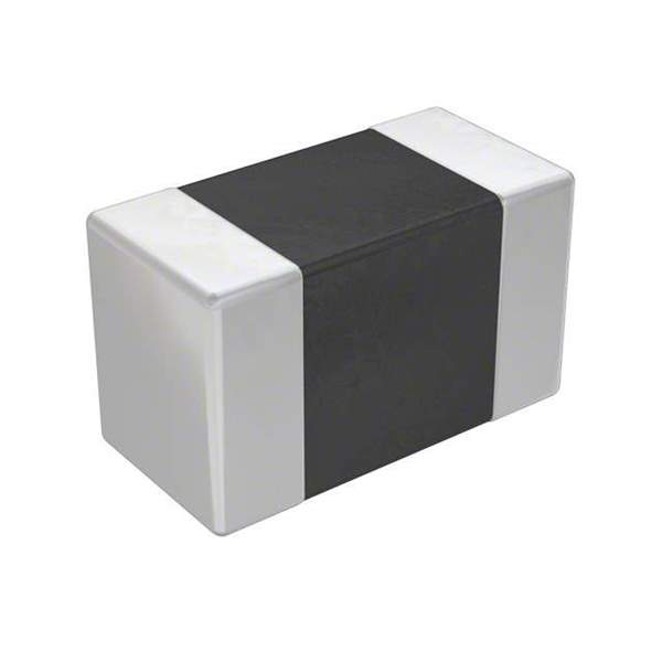 B57221V2473J60 Real Image