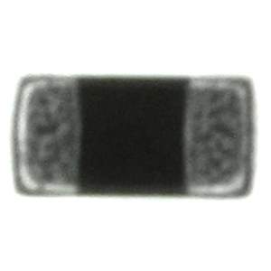 B57321V2103J60 Real Image
