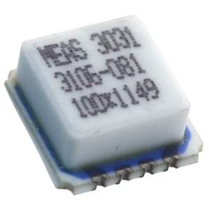 3031-100 Real Image