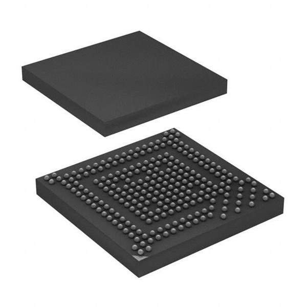AT91SAM9G25-CFU Real Image