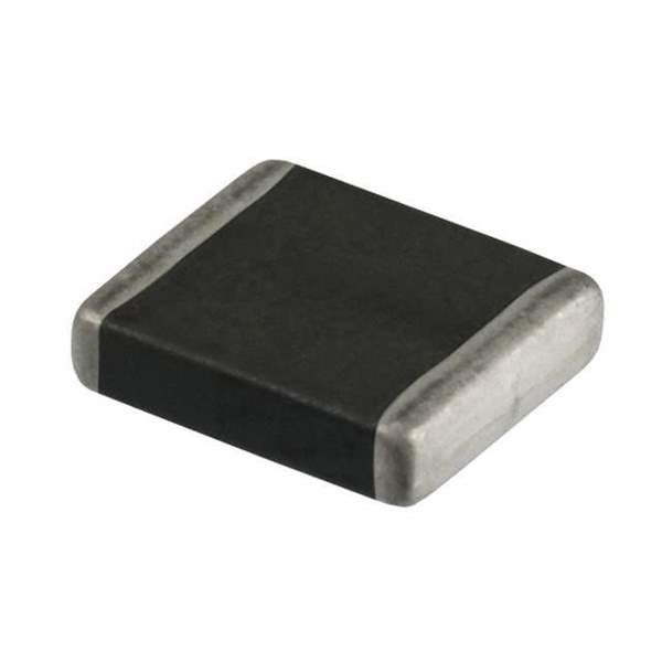 B72530E300K62 Real Image