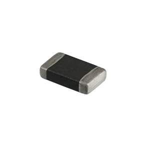 B72500T110K60 Real Image