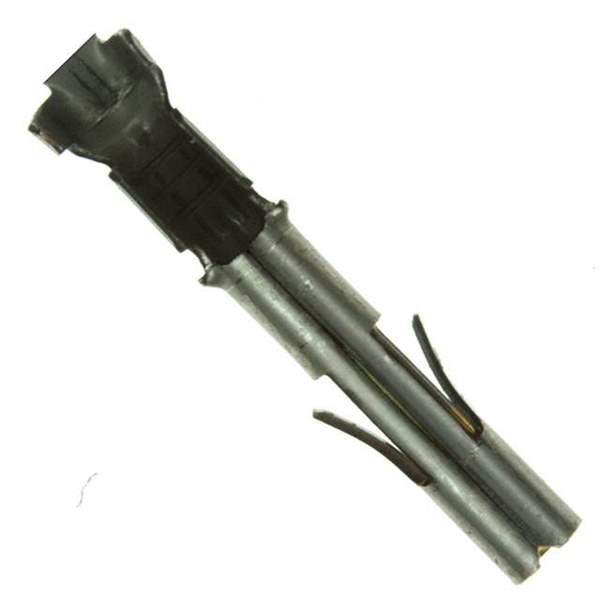 350536-6 Real Image