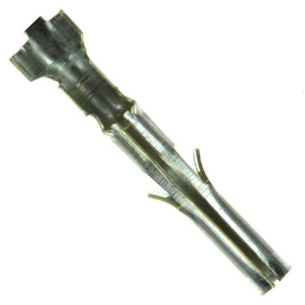 350628-1 Real Image