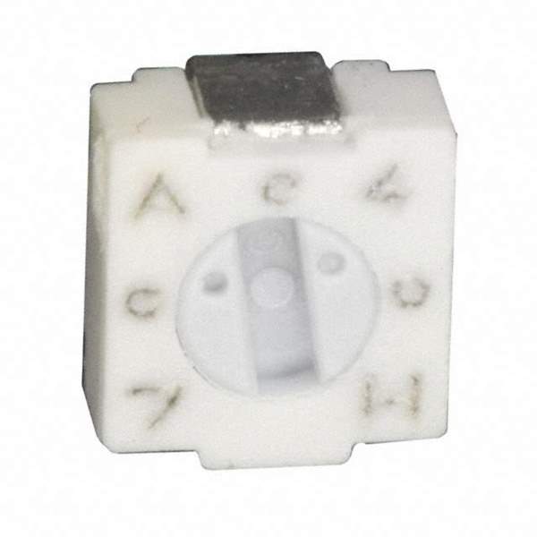 3313X-1-204E Real Image