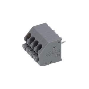 250-104 Real Image