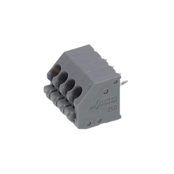 250-104 Real Image