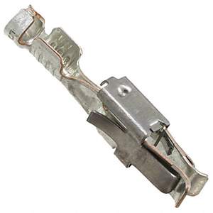 3190564 Real Image