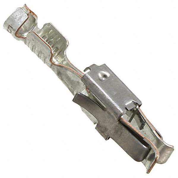 3190564 Real Image