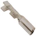 42068-1 Real Image