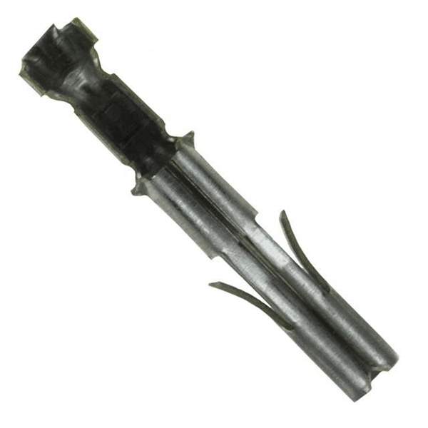 350851-1 Real Image