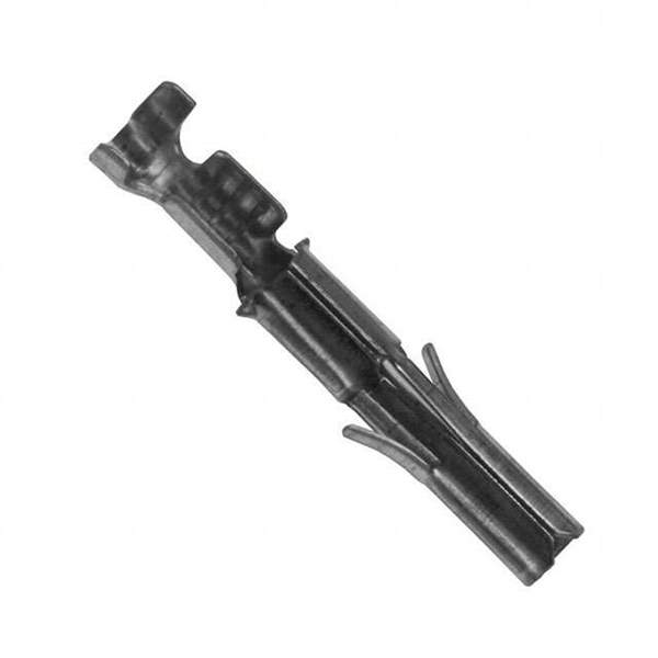 350570-1 Real Image