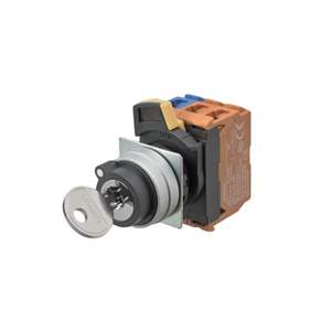 A22NK-2ML-01BA-G202 Real Image