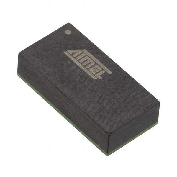 ATA5580M256-TSMW Real Image
