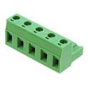 1767038 Real Image1