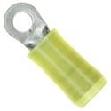 320634 Real Image1