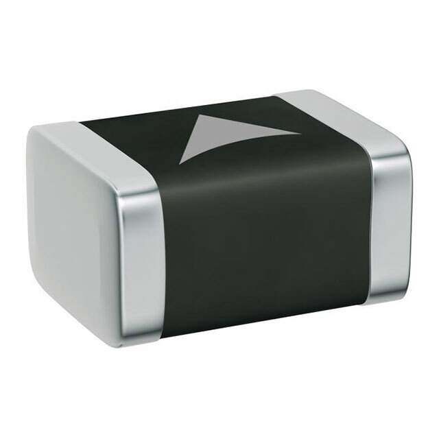 B72530U1500K062 Real Image2