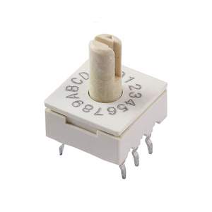 CT3083 Real Image