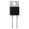 BYC20D-600PQ Real Image