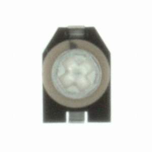 CTZ3E-03A-W1-PF Real Image