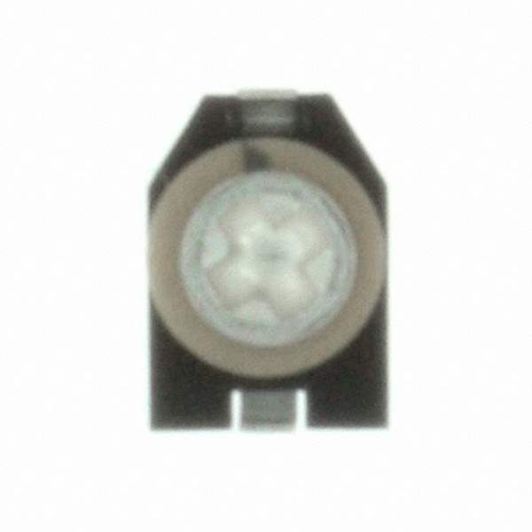 CTZ3E-03A-W1-PF Real Image