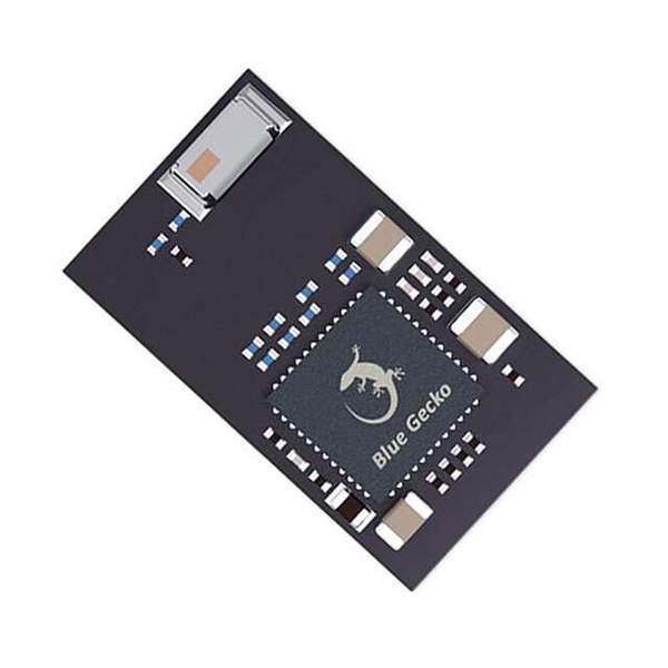 BGM113A256V2R Real Image