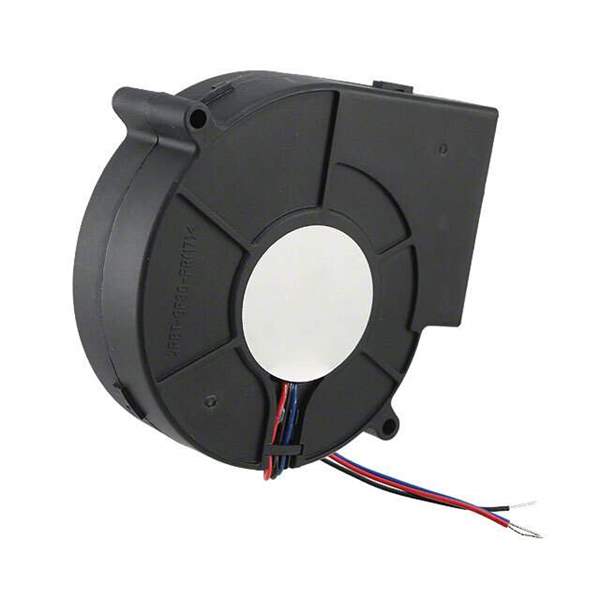 BFB1012L-TA5R Real Image