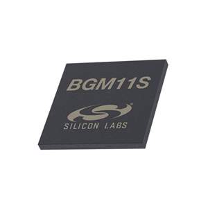 BGM11S12F256GA-V2R Real Image