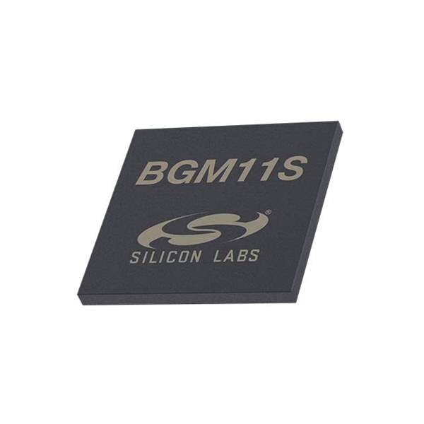BGM11S12F256GA-V2R Real Image