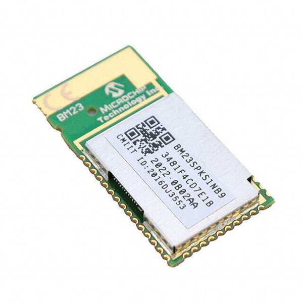 BM23SPKS1NB9-0B02AA Real Image